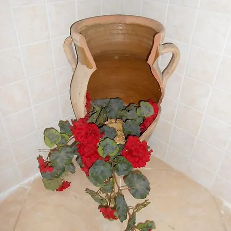 Apartment Giglio *